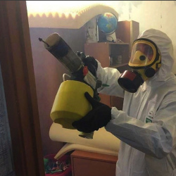 Уничтожение клопов в квартире. Реутов